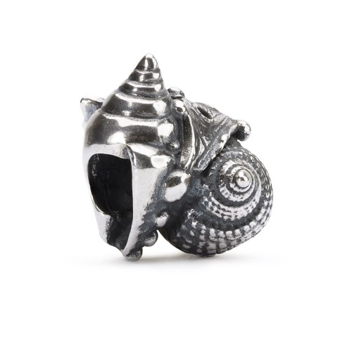 Love Conch Love Conch