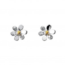 Silver Medium Daisy Studs Silver Medium Daisy Studs